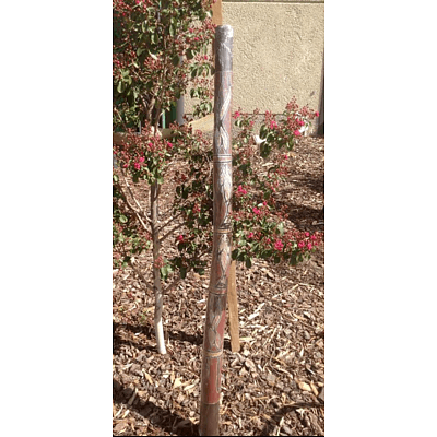 Aboriginal Didgeridoo