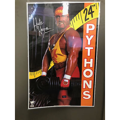 Hulk Hogan movie poster