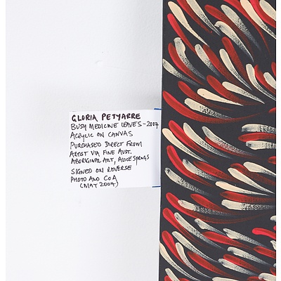 Gloria Petyarre (c.1938-) Bush Medicine Leaves 2007, Acrylic on Canvas