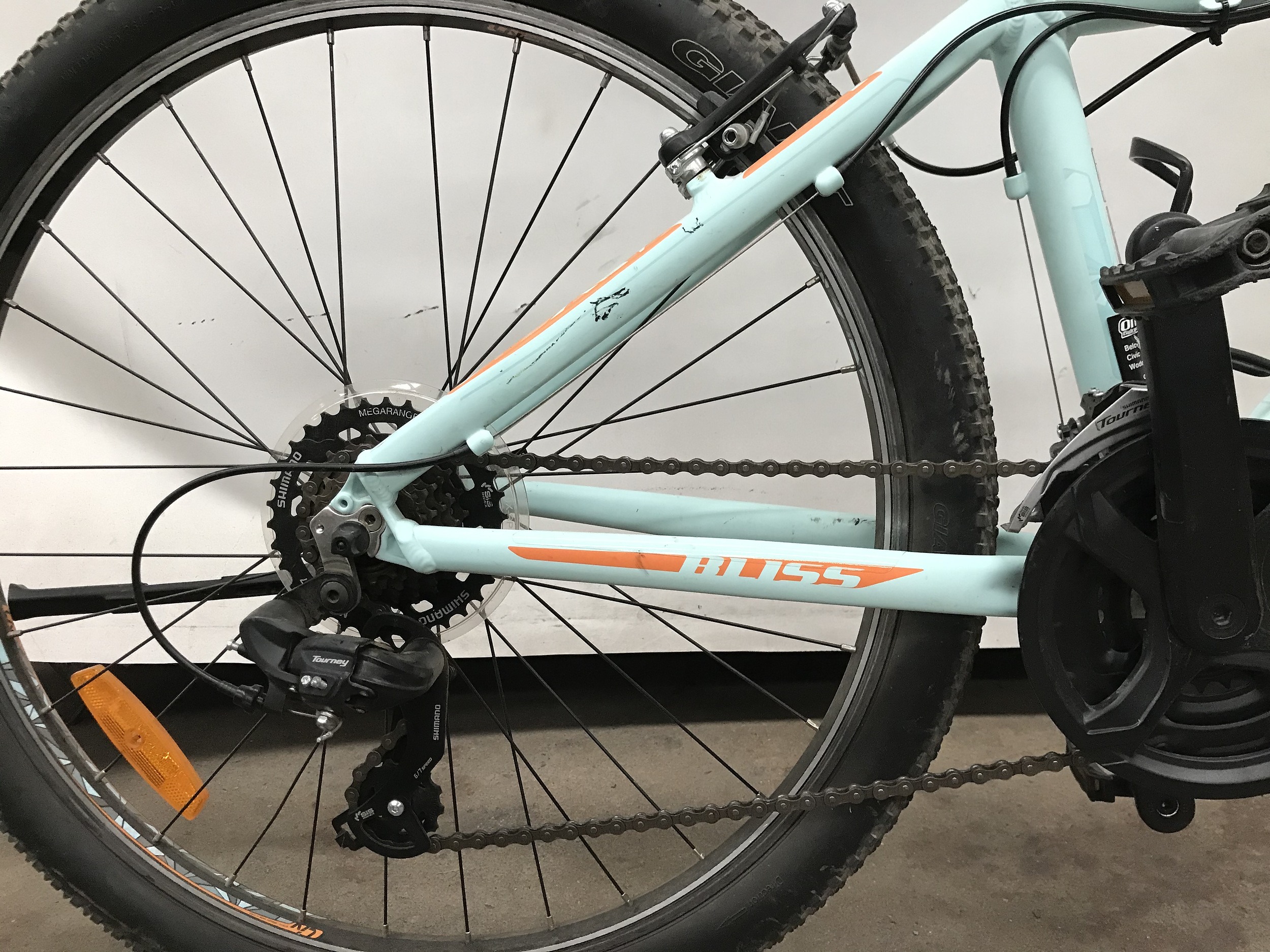 bliss liv bike