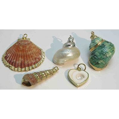Collection of Gold-Plated Natural Shell Charms or Pendants