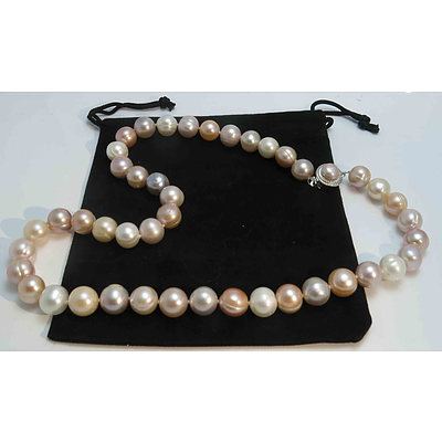 Necklace of Large Natural Colour Fresh-Water Cultured Pearls