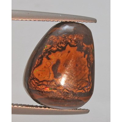 Australian Solid Opal - Queensland Boulder Opal
