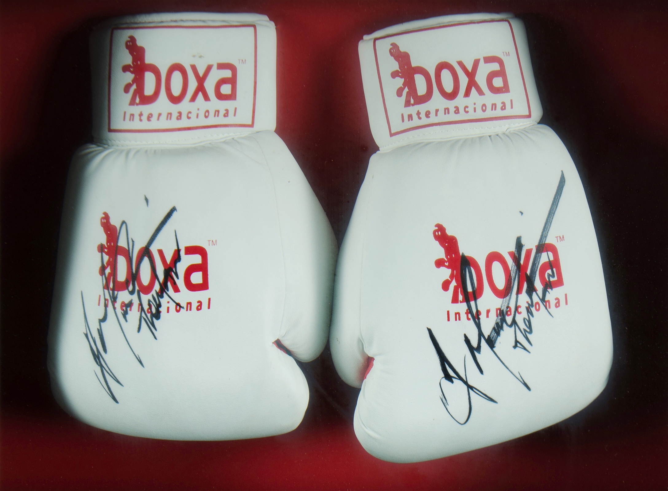 anthony mundine signed boxing gloves