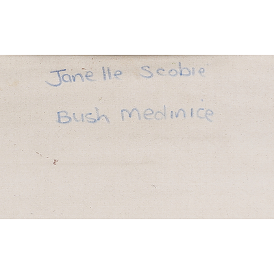 Janelle Scobie, Bush Medicine, Oil on Canvas, Unframed