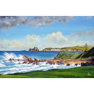 Painting: "View of Glasshouse Rocks, Narooma" by John Bradley