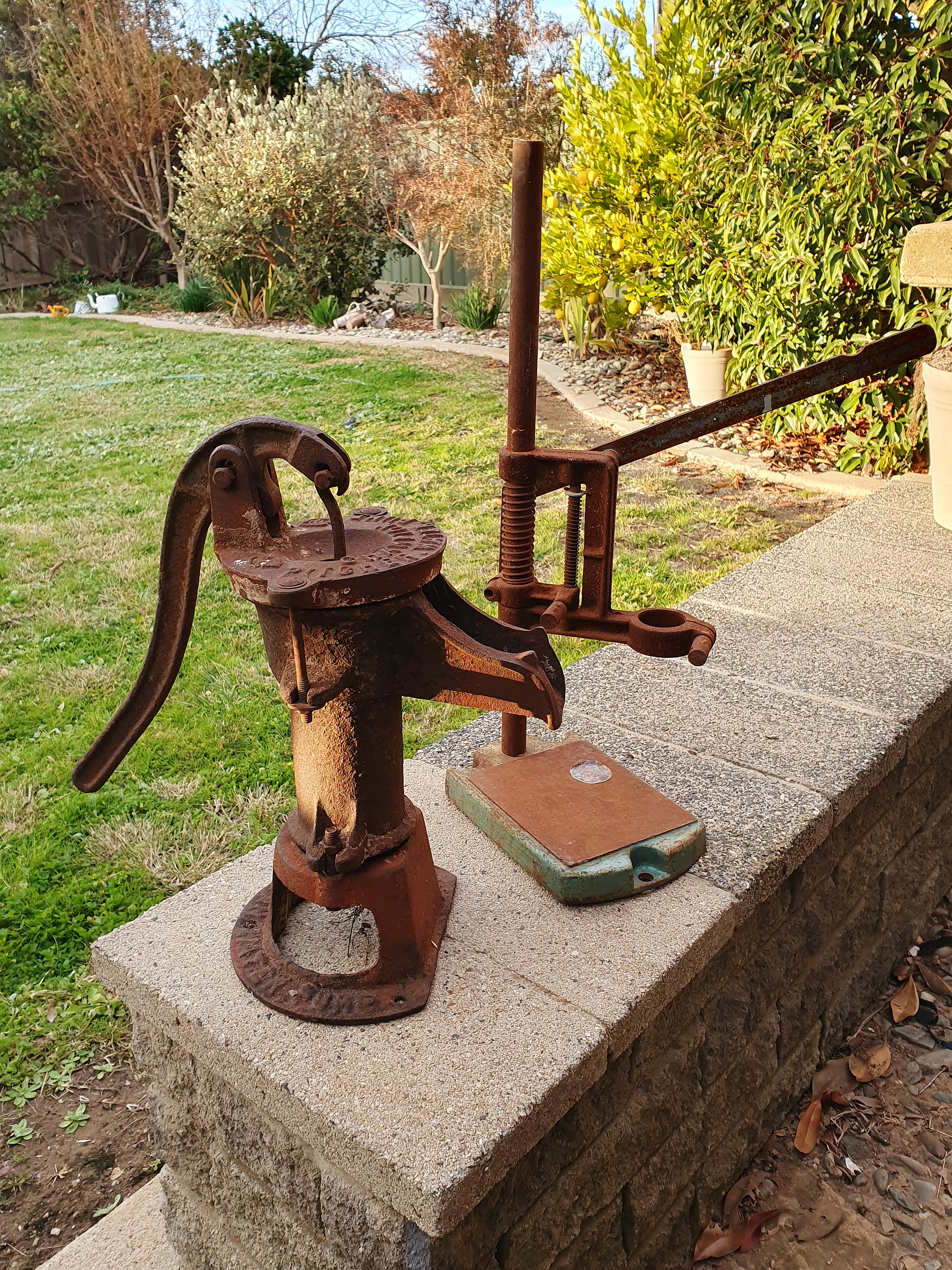 Vintage Champion Pitcher Water Lot 1128488 ALLBIDS