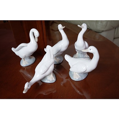 Five Spanish Nao Ceramic Ducks
