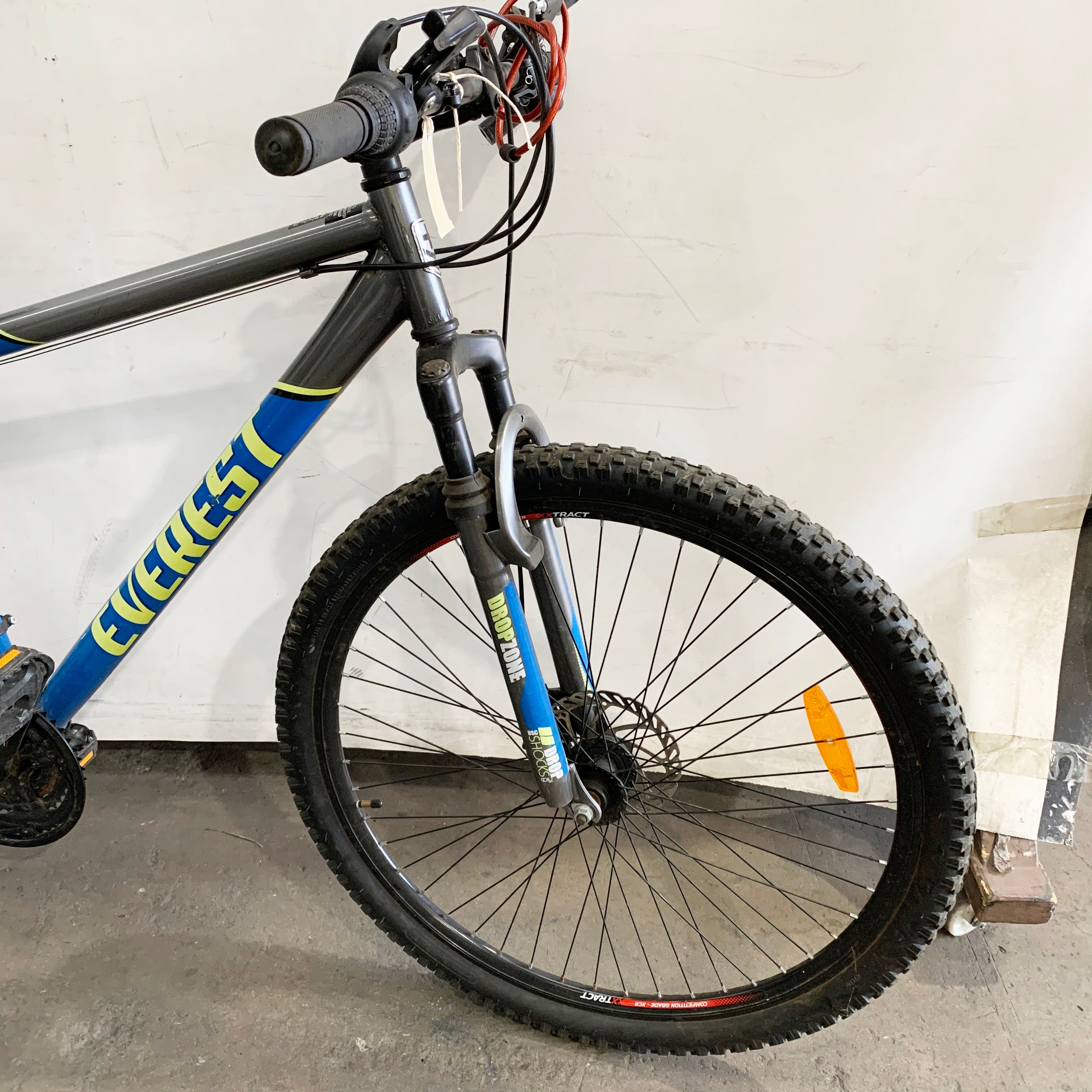 Everest 21 speed mountain bike online