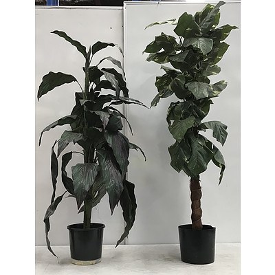 Artificial Plants -Lot Of Two