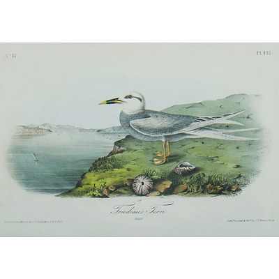 After Audubon, John (USA 1785-1851) 3 Various Engravings (3)