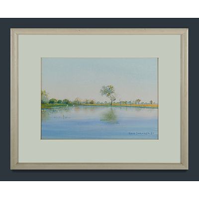 Shearer, Ben (B.1941) Wetlands (Possibly Kakadu) 1989