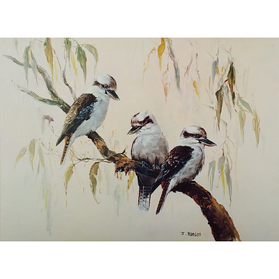 John Hansen Gel Medium Print Of Three Kookaburras