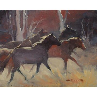 Waite, Allan (1924-2010) 'Morning, The Grampians' and 'Brumbies' and 'Salmon Holes' Near Albany WA' (3)