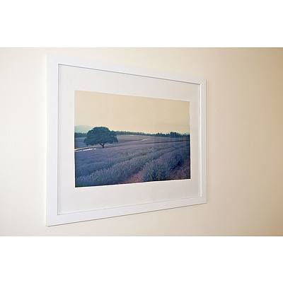 Framed Lavender Field Print, and Another of France
