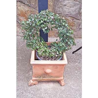 Pair of Terracotta Pots with Ivy Rings