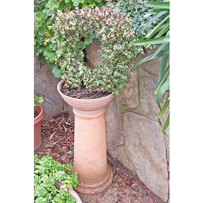 Terracotta Pedestal with Ivy Ring