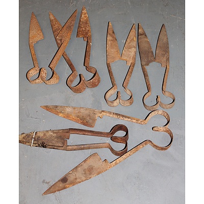 Six Vintage Pairs of Shears