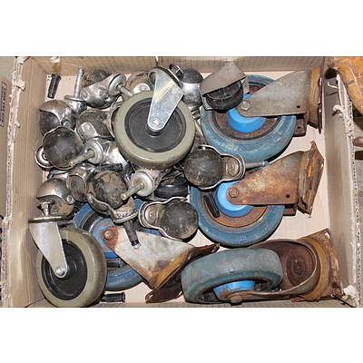 Collection of 1950s and Other Castors