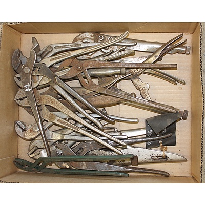 Large Collection of Multigrip Pliers