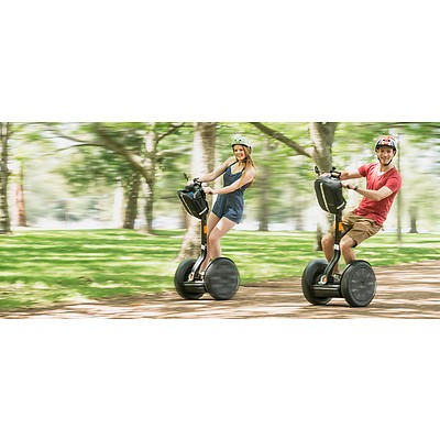 Family, Wellness & Beverage Package III