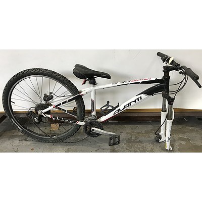 Avanti Montari Mountain Bike