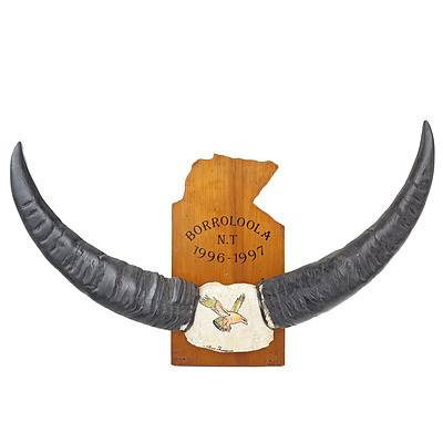 Large Mounted Buffalo Horns for the Man-Cave