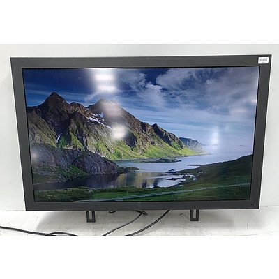 Generic 30-Inch Widescreen LCD Monitor