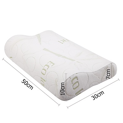 Set of 2 Bamboo Pillow with Memory Foam - Brand New - Free Shipping