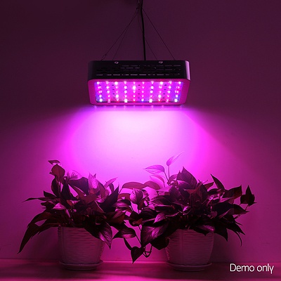 300W LED Grow Light Full Spectrum