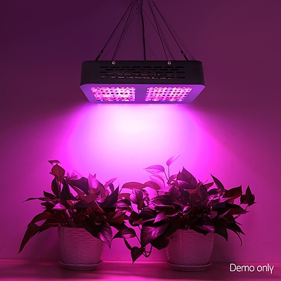 300W LED Grow Light Full Spectrum