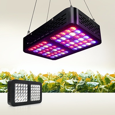 300W LED Grow Light Full Spectrum Reflector