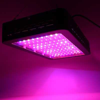 600W LED Grow Light Full Spectrum  - Free Shipping