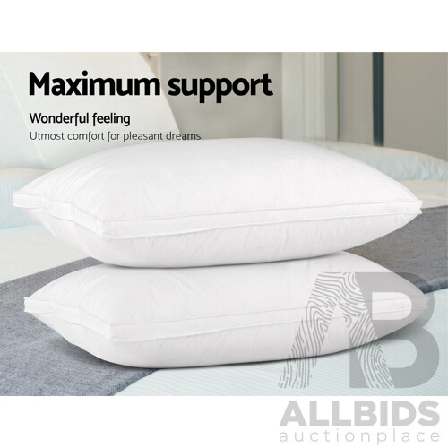 Duck Feather Down Twin Pack Pillow - Free Shipping