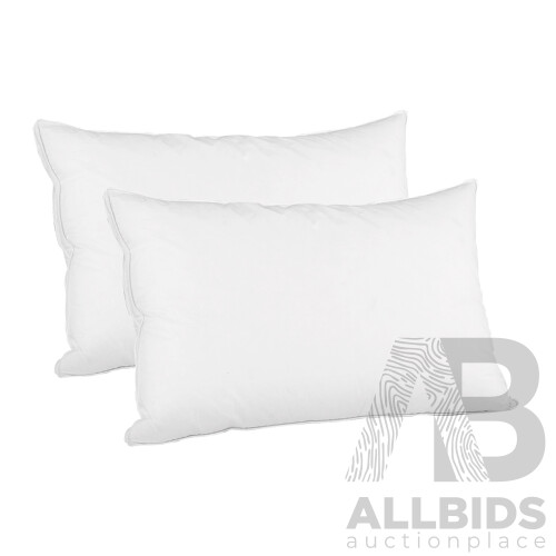 Goose Feather Down Twin Pack Pillow - Free Shipping