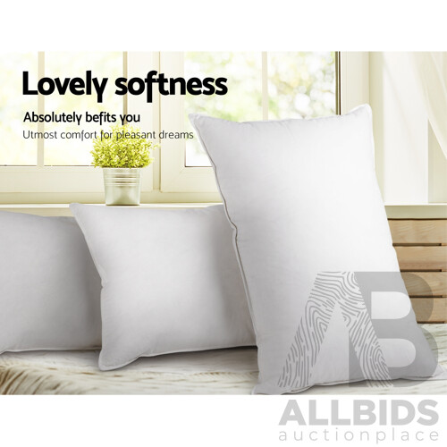 Set of 2 Goose Feather and Duck Down Pillow - White - Free Shipping