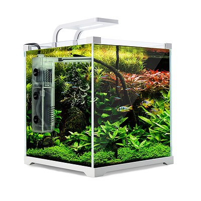 starfire glass tank
