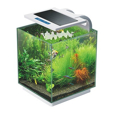 Dynamic Power Aquarium Starfire Glass RGB LED Fish Tank 16L - Brand New with 12 Months Warranty